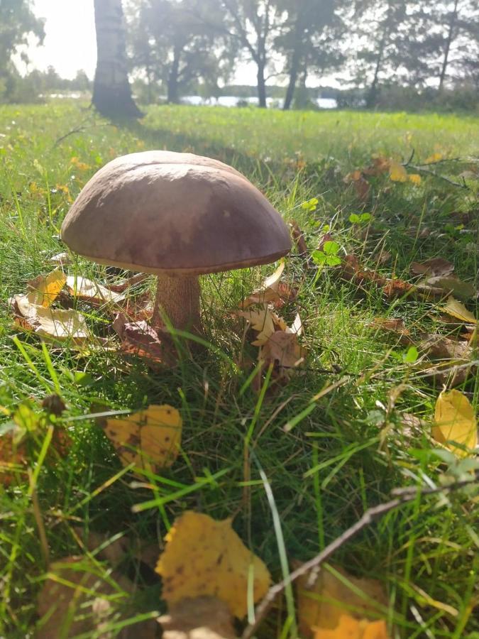 Polku Apartaments Imatra Luaran gambar